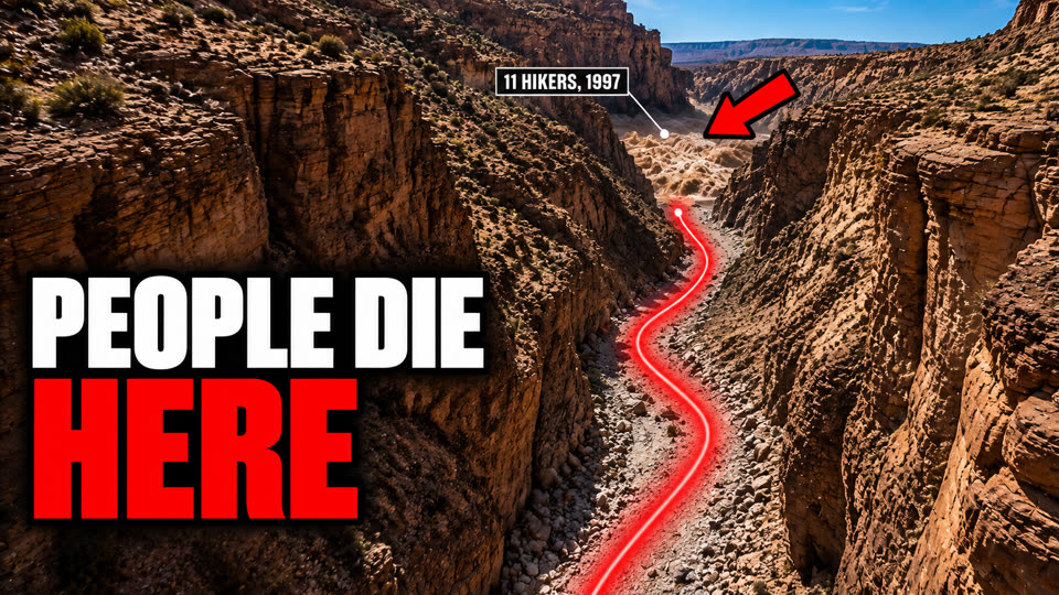 Thumbnail-Vorschlag: People die here